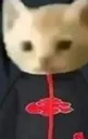 sex