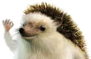 likethisimage likethisimage