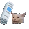cat_bonk