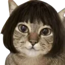 CatAnd Discord Emoji