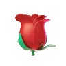 giphyrose