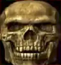 THESKELETON