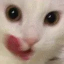 mlem