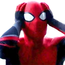 SpideyWTF