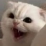 aaaaa Discord emoji
