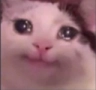 agliom Discord emoji