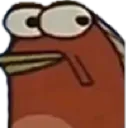 wtf