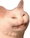 Ech
