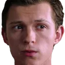 TomAwk