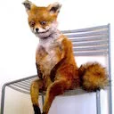 Normal_fox Discord Emoji