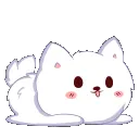 null_pet