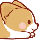 nf_1ak3CuteDog1