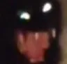 rawr