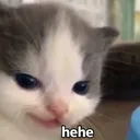 hehe hehe