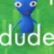 dude