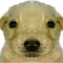 dipset_drugcartel Discord emoji