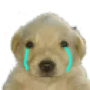 dipset_cry dipset_cry