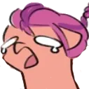 sunnyohnooo