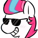 zippcoolhorse