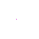 micropipp