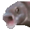 pogfishani
