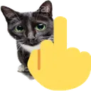 middlefinger_cat middlefinger_cat