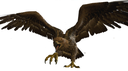 eagles Discord emoji