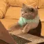 ekeyboardwarrior