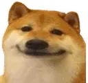 Dogepleased Discord Emoji