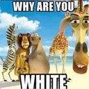 whyareyouwhite