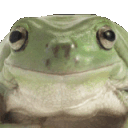 frognod Discord Emoji