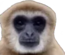 Spanky