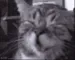CATW CATW