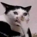 gasp