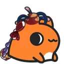 YoiCatStare
