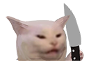 cattoknife Discord emoji