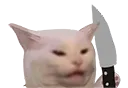 cattoknife Discord Emoji