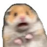 scaredhamster