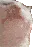 vibingcat