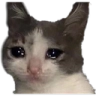 trostecat_FDB Discord emoji