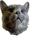 SNACKIDGE