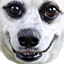 curseddogsmile Discord emoji