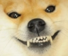 doggrin Discord emoji