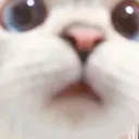 emoji_36