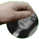 petthemel