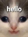 hellohehe