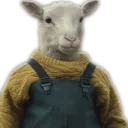 hey