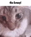 TheKrazy