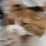 ahhhhhhhhh
