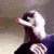 doink